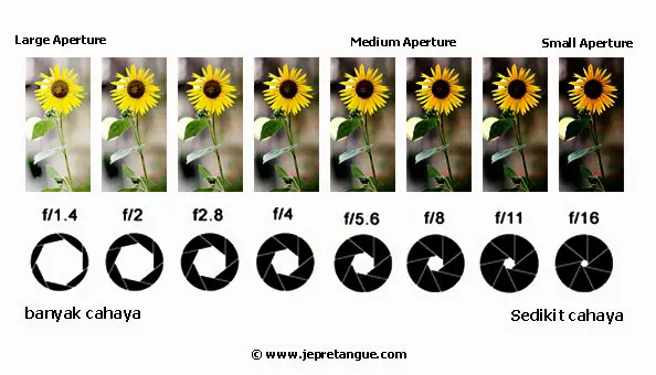 Aperture (1)