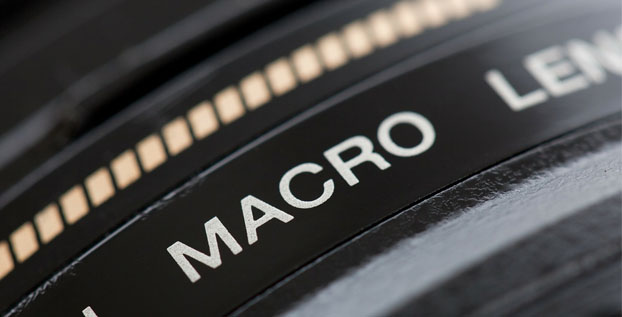 Lensa Makro: Pengertian, Fungsi, dan Jenisnya