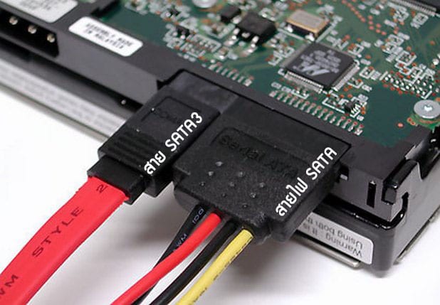 SSD SATA