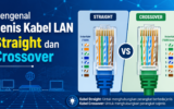 Jenis Kabel LAN Straight dan Crossover