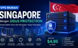 VPS Murah Singapore dengan DDoS Protection Bayar via QRIS 3 VPS Murah Singapore