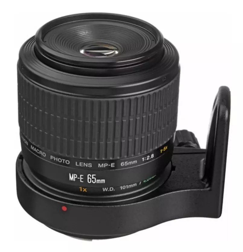 Lensa Makro: Pengertian, Fungsi, dan Jenisnya 7 Canon MP-E 65mm f/2.8 1-5x Macro